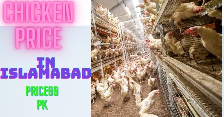 Chicken Price Today Islamabad 2024